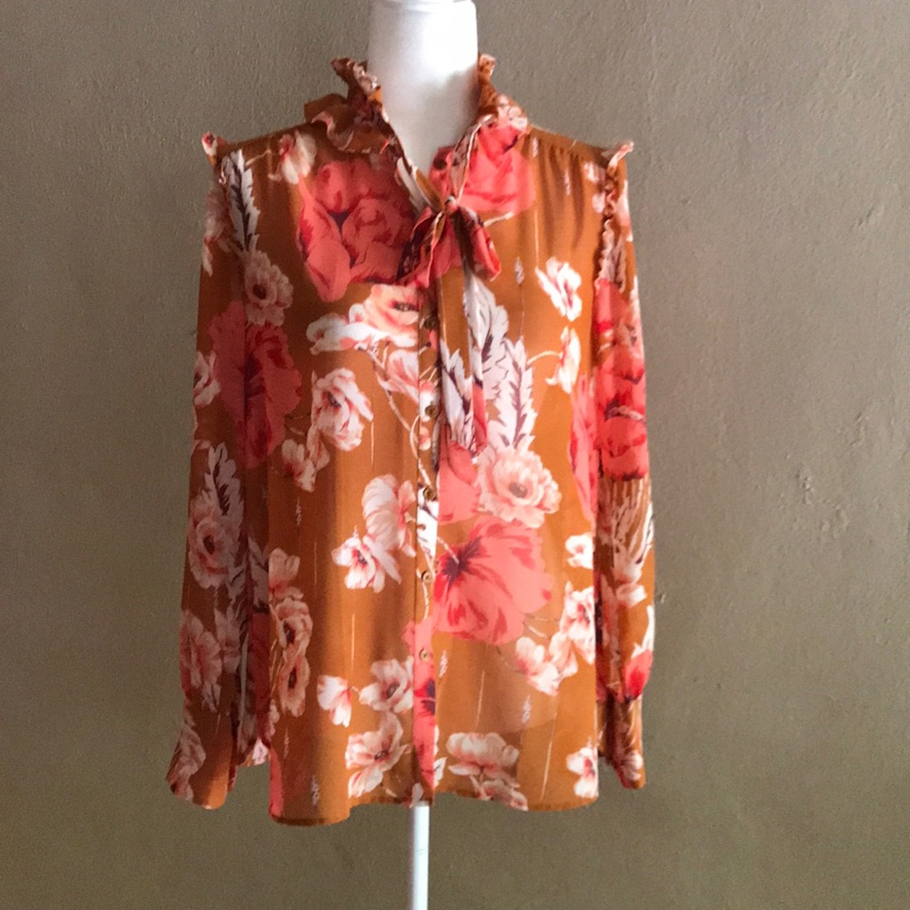 Ann Taylor Floral sheer ruffle blouse